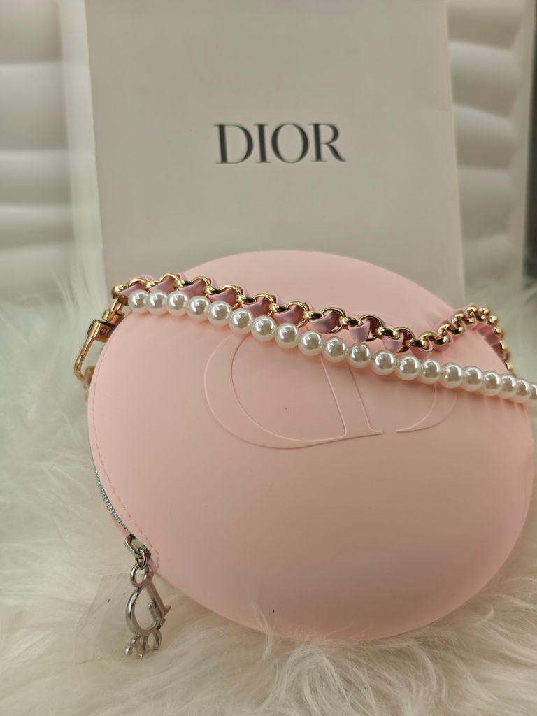 Dior pouch